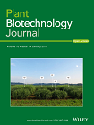 Ectopic expression of a novel OsExtensin-like gene consistently enhances plant lodging resistance by regulating cell elongation and cell wall thickening in rice