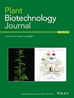 High-level hemicellulosic arabinose predominately affects lignocellulose crystallinity for genetically enhancing both plant lodging resistance and biomass enzymatic digestibility in rice mutants