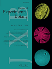 AtCSLD3 and GhCSLD3 mediate root growth and cell elongation downstream of the ethylene response pathway in Arabidopsis