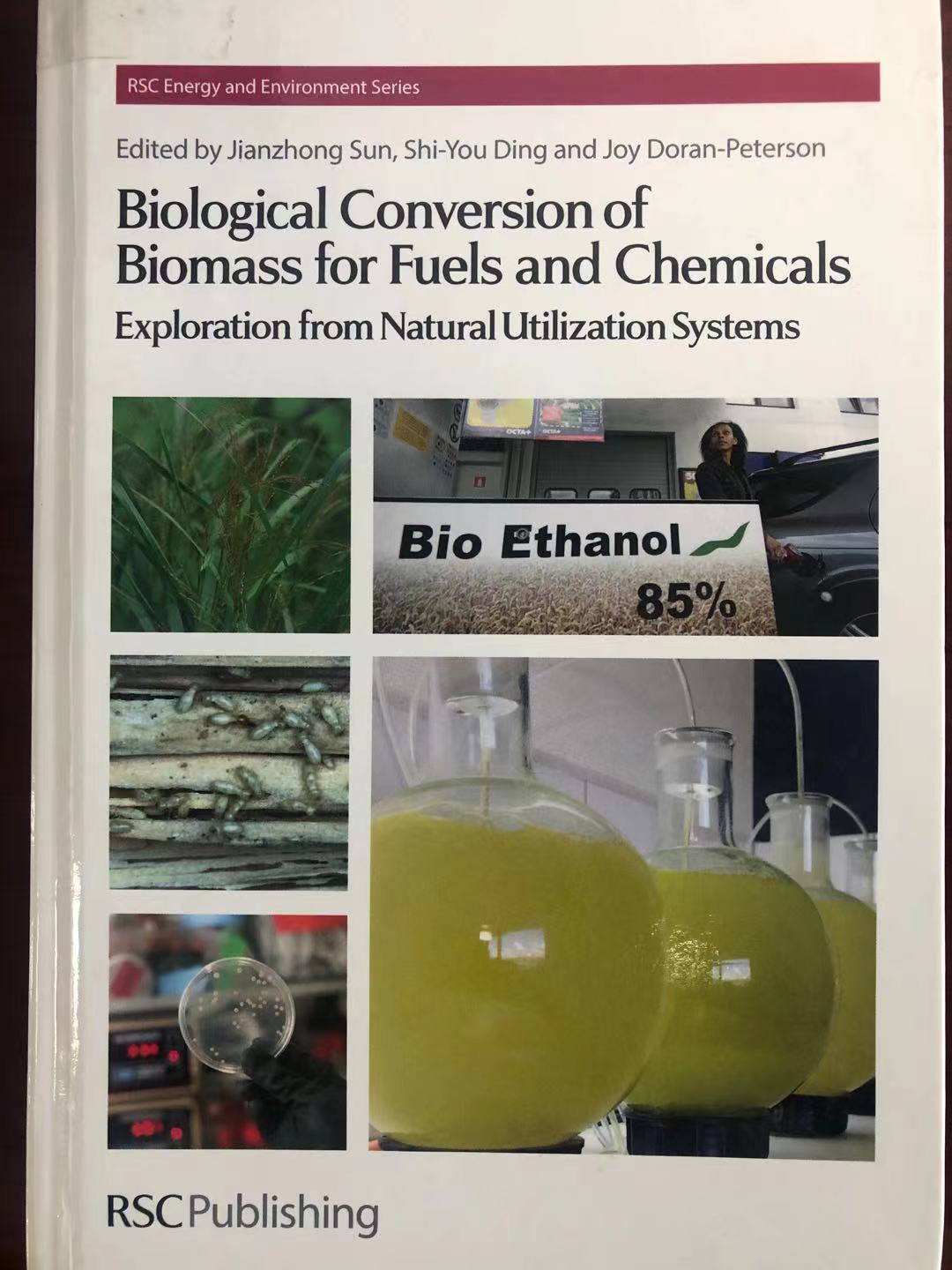 Book Chapter 6 entitled: “The diversity of lignocellulosic biomass resources and their evaluations for use as biofuels and chemicals.” 