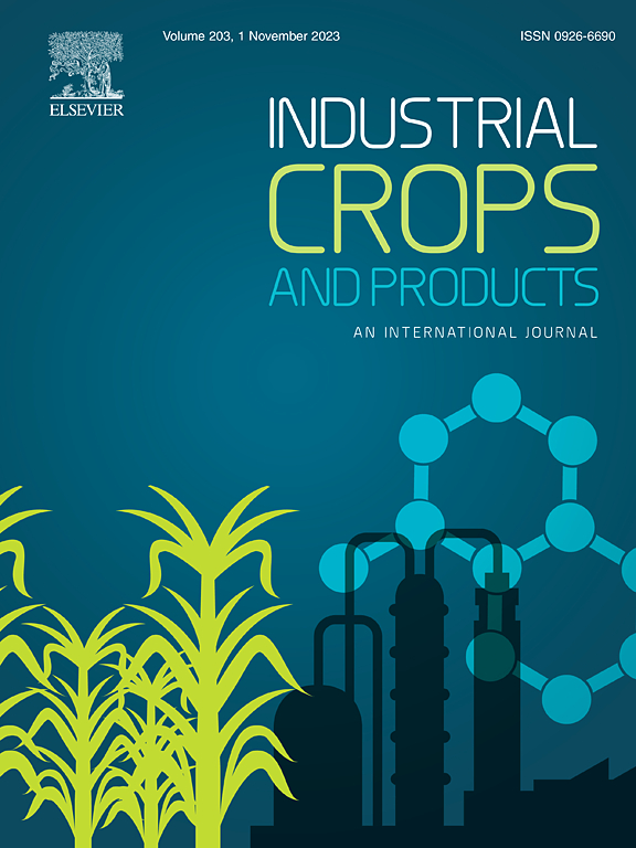 Intgrated genetic and chemical modification with rice straw for maximum bioethanol production