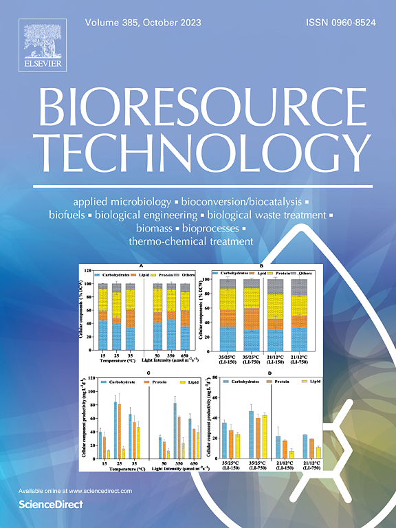 Intermitten ultrasound retains cellulases unlock for enhanced cellulosic ethanol with high-porosity biochar for dye adsorption using desirable rice mutant straw